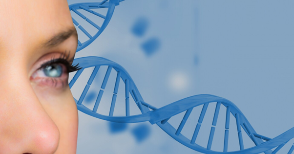 Telomeres and Skin Aging: The discovery to extend youthfulness